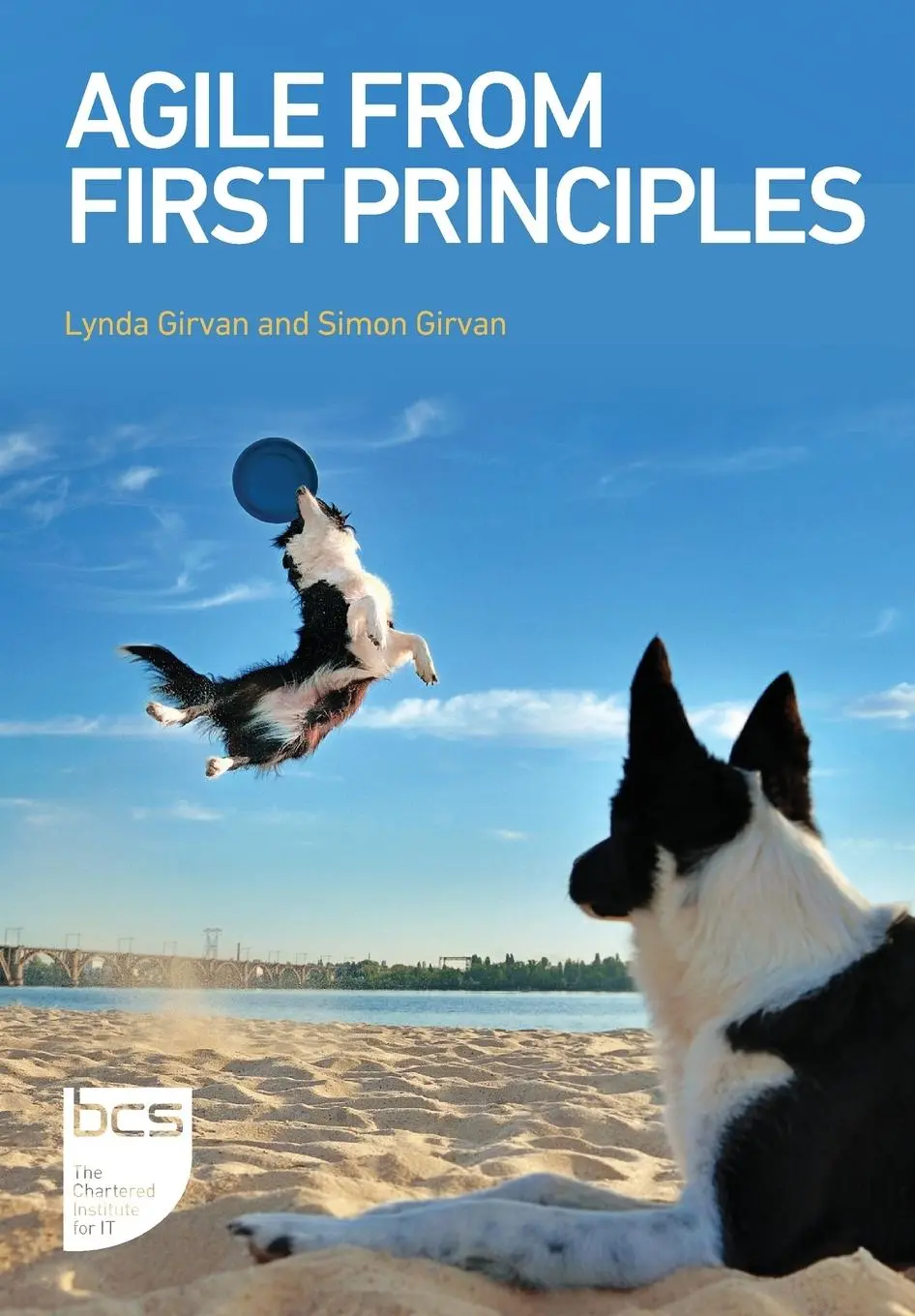 Cover: 9781780175799 | Agile From First Principles | Lynda Girvan (u. a.) | Taschenbuch