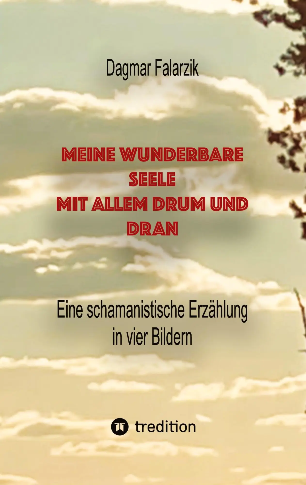 Cover: 9783347585799 | Meine wunderbare Seele mit allem Drum und Dran | Dagmar Falarzik