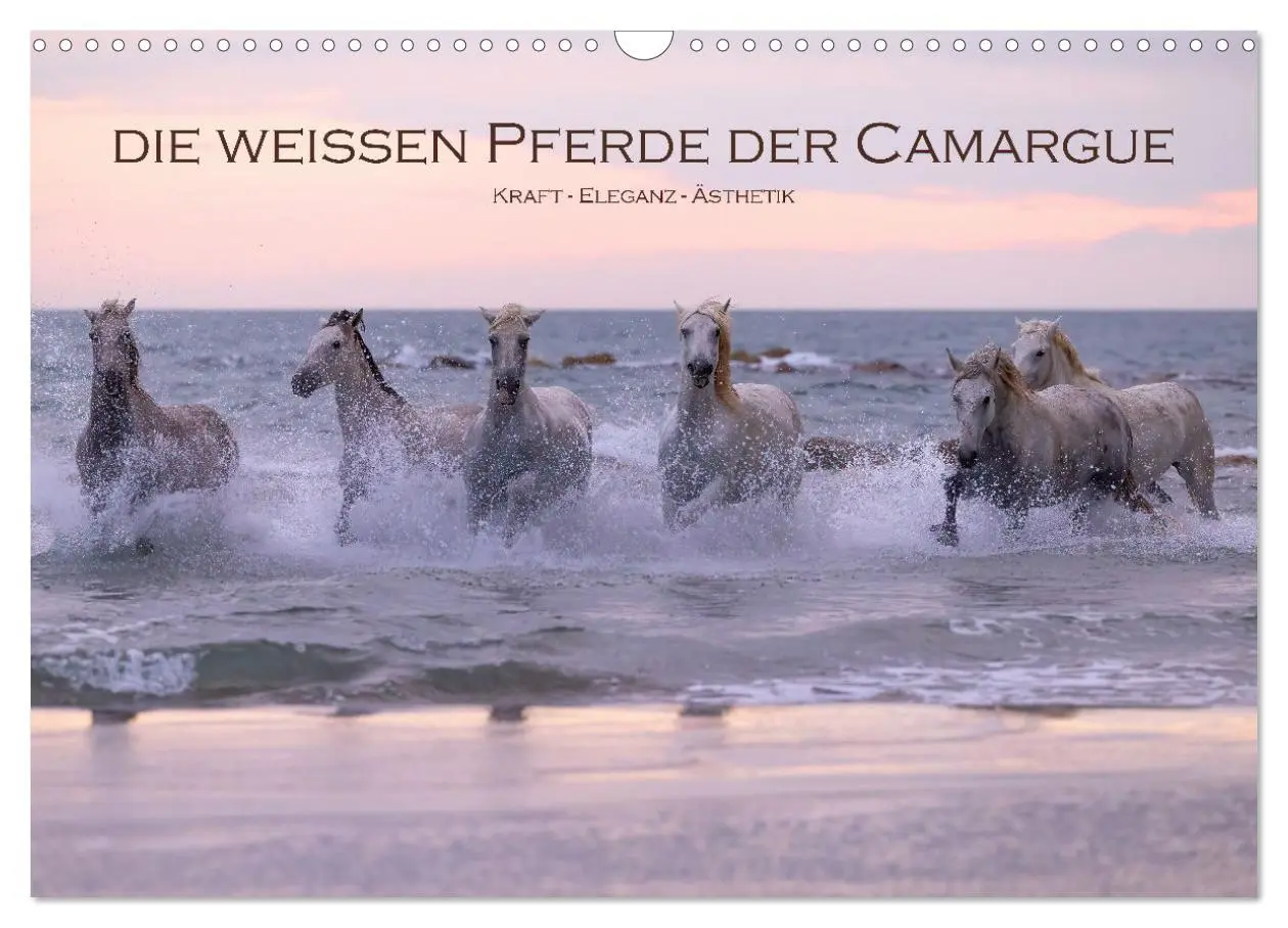 Cover: 9783457305799 | Die weißen Pferde der Camargue (Wandkalender 2026 DIN A3 quer),...