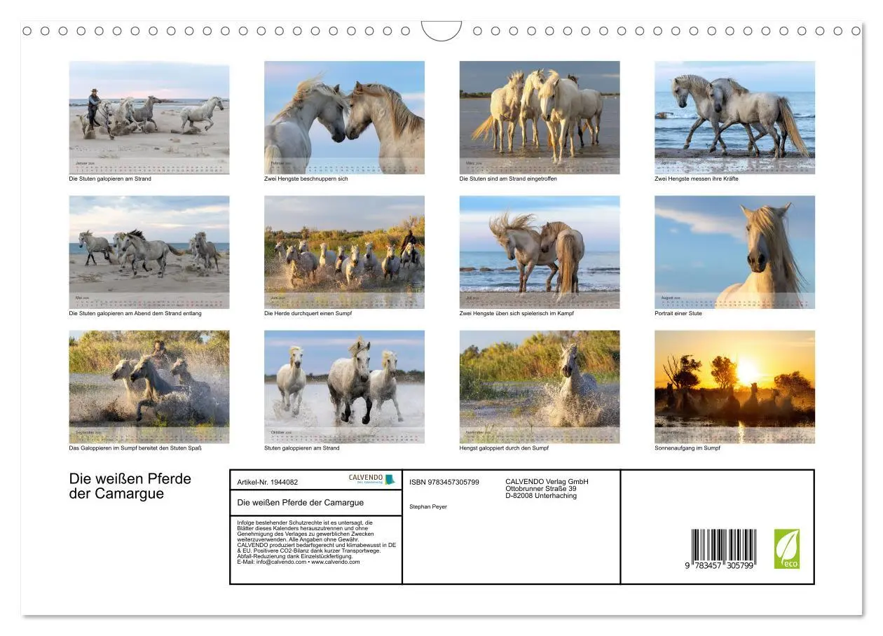 Bild: 9783457305799 | Die weißen Pferde der Camargue (Wandkalender 2026 DIN A3 quer),...