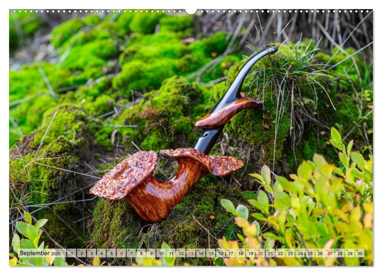 Bild: 9783457475799 | Tabakpfeifenkunst (hochwertiger Premium Wandkalender 2026 DIN A2...