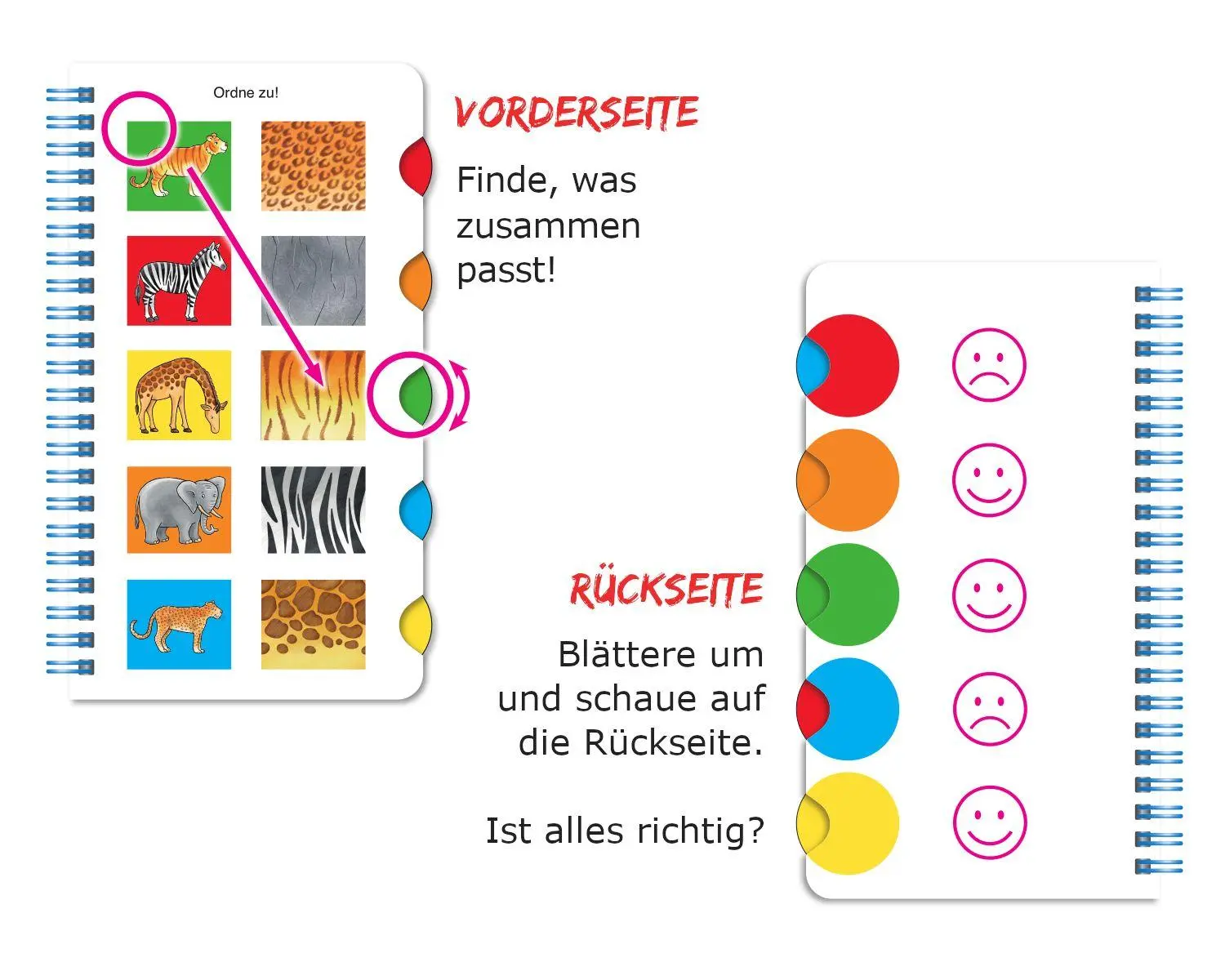 Bild: 9783780665799 | Dreh dich schlau - Zählen, zuordnen &amp; Co. | Klara Kamlah | Taschenbuch