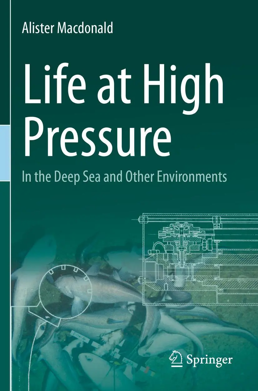 Cover: 9783030675899 | Life at High Pressure | In the Deep Sea and Other Environments | Buch