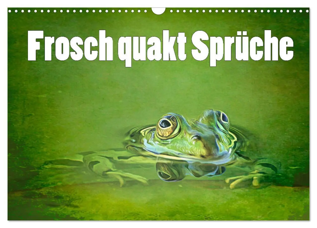 Cover: 9783457535899 | Frosch quakt Sprüche (Wandkalender 2026 DIN A3 quer), CALVENDO...