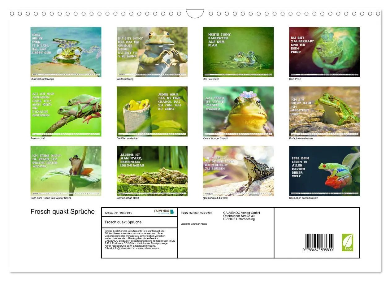 Bild: 9783457535899 | Frosch quakt Sprüche (Wandkalender 2026 DIN A3 quer), CALVENDO...