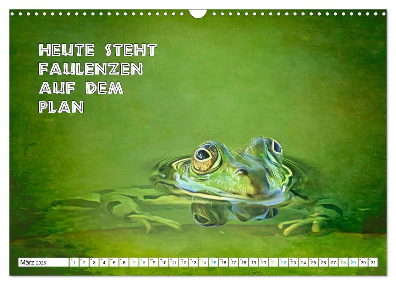 Bild: 9783457535899 | Frosch quakt Sprüche (Wandkalender 2026 DIN A3 quer), CALVENDO...