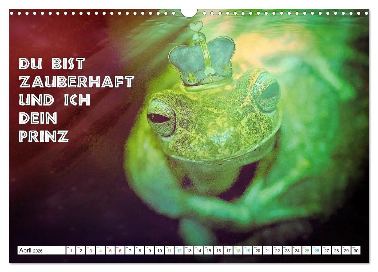 Bild: 9783457535899 | Frosch quakt Sprüche (Wandkalender 2026 DIN A3 quer), CALVENDO...