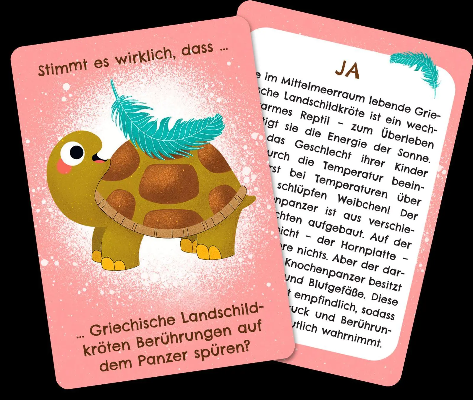 Bild: 4260308345999 | Werden Frösche manchmal blau? | Anika Gehrmann | Spiel | Schachtel