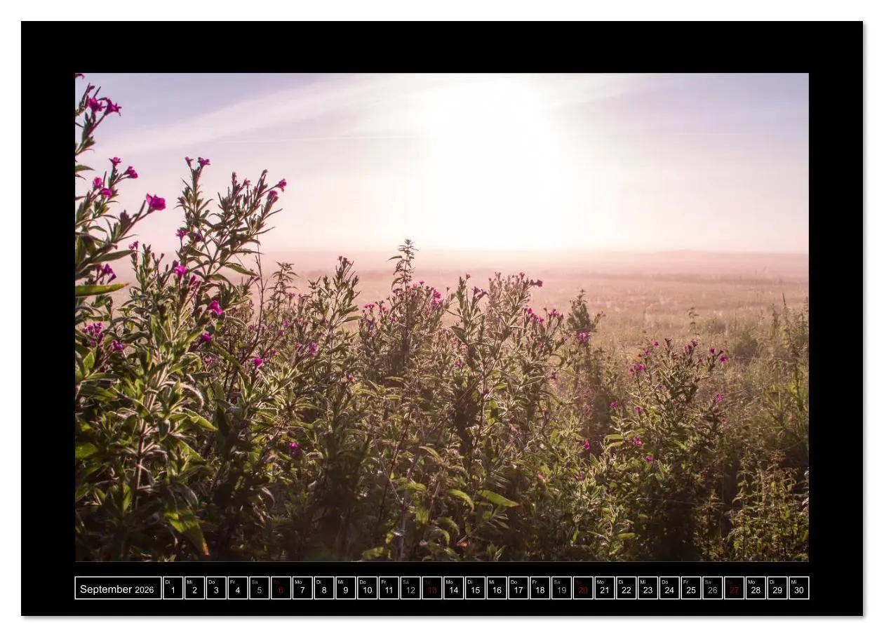 Bild: 9783457905999 | Lichtlandschaft Worpswede (Wandkalender 2026 DIN A2 quer), CALVENDO...