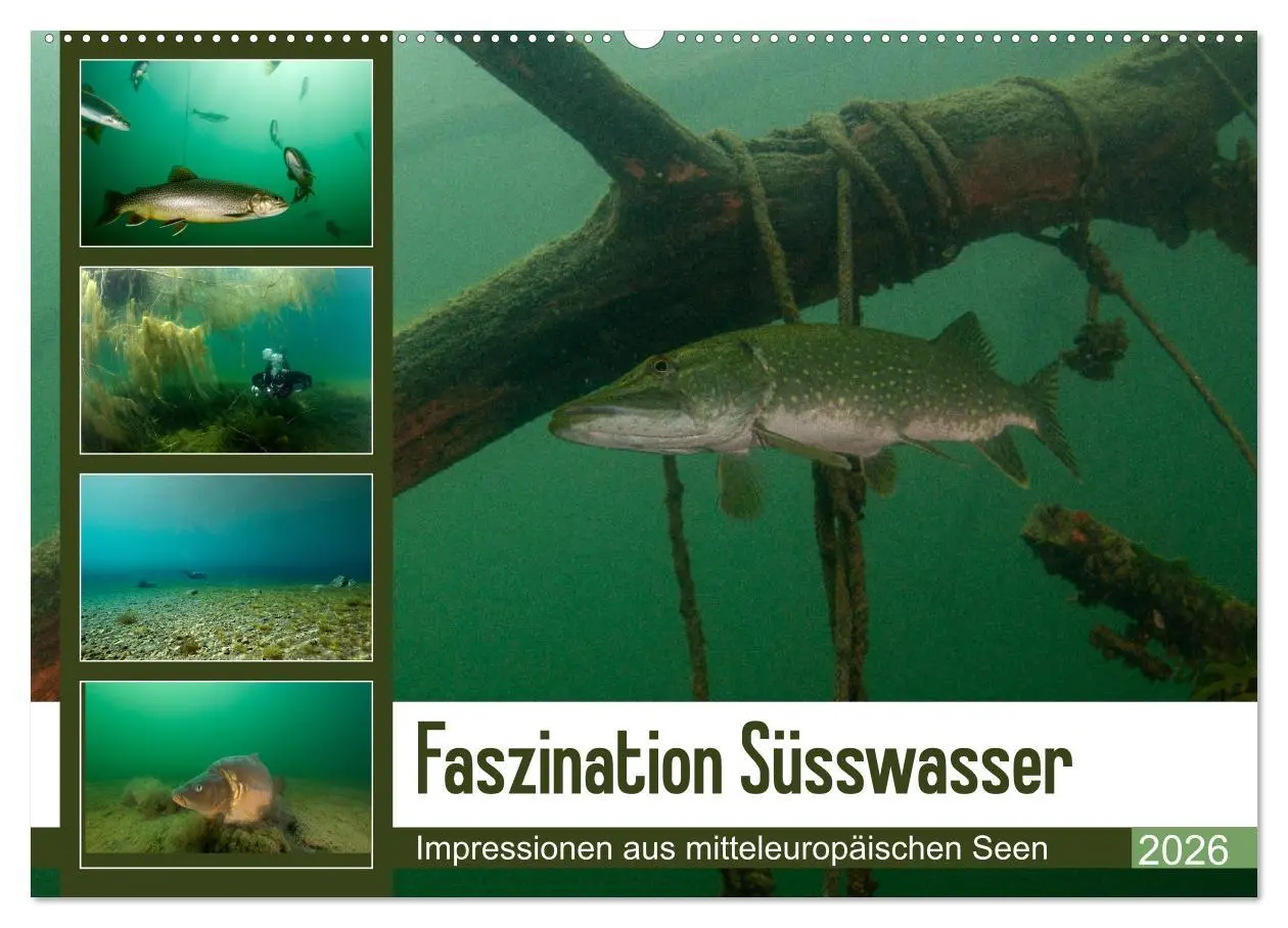 Cover: 9783457896099 | Faszination Süsswasser (Wandkalender 2026 DIN A2 quer), CALVENDO...
