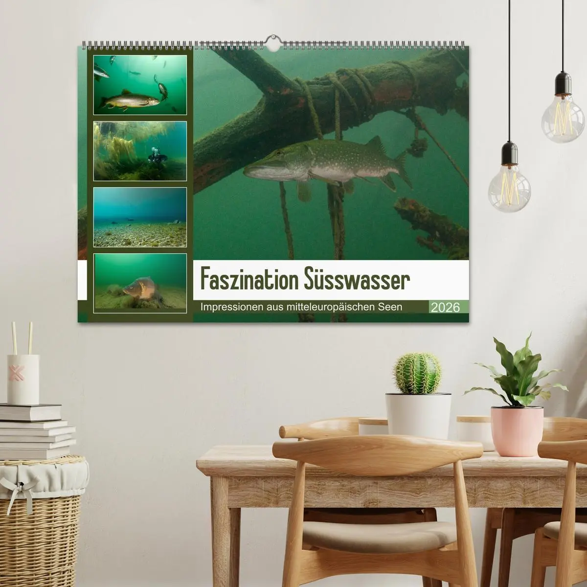 Bild: 9783457896099 | Faszination Süsswasser (Wandkalender 2026 DIN A2 quer), CALVENDO...