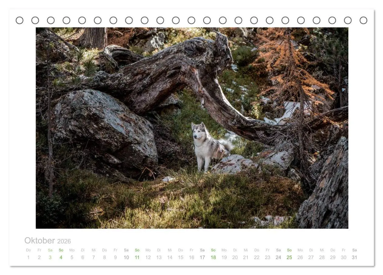 Bild: 9783457966099 | saas fee (Tischkalender 2026 DIN A5 quer), CALVENDO Monatskalender