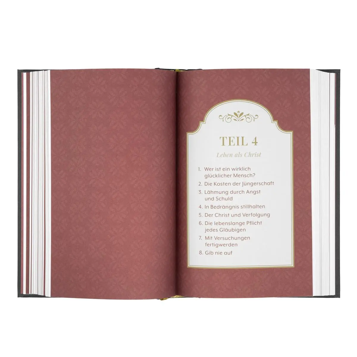 Bild: 9783941456099 | Die Kraft des Evangeliums | Niko Derksen | Buch | 500 S. | Deutsch