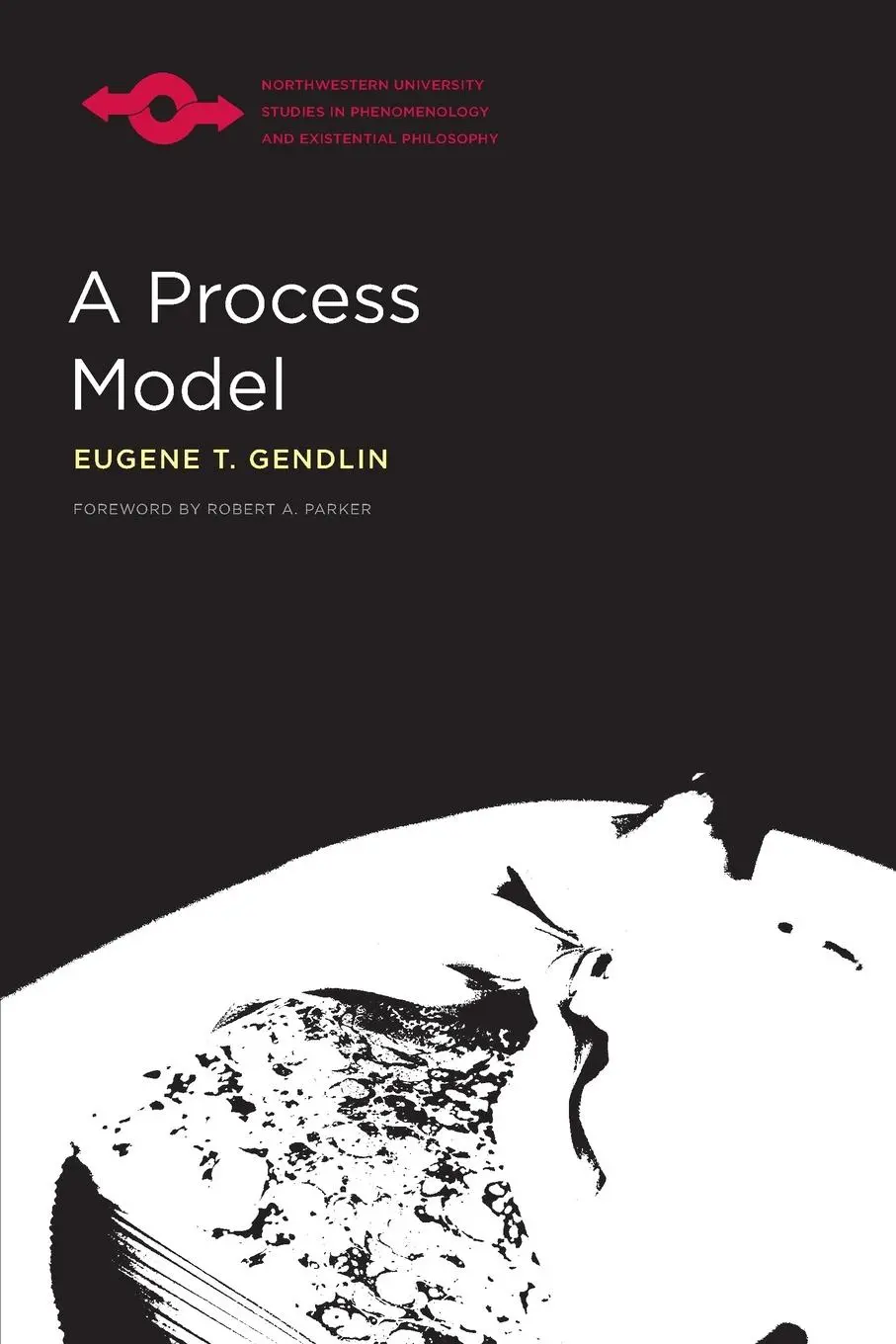 Cover: 9780810136199 | A Process Model | Eugene Gendlin | Taschenbuch | Englisch | 2017