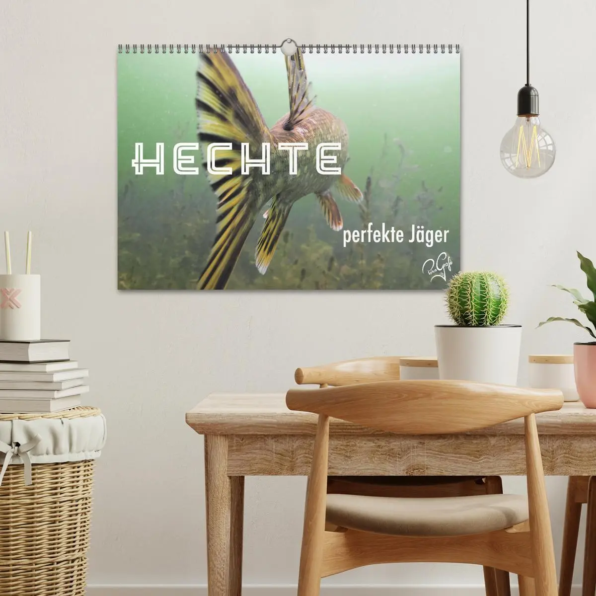 Bild: 9783457646199 | Hechte - perfekte Jäger (Wandkalender 2026 DIN A3 quer), CALVENDO...