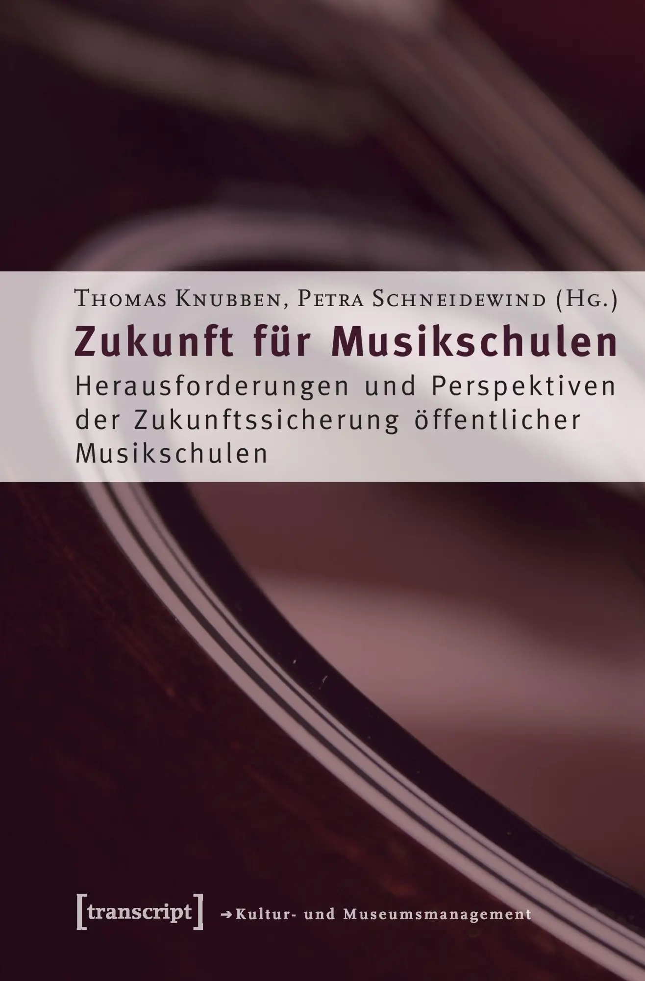 Cover: 9783899426199 | Zukunft für Musikschulen | Thomas Knubben | Taschenbuch | 310 S.