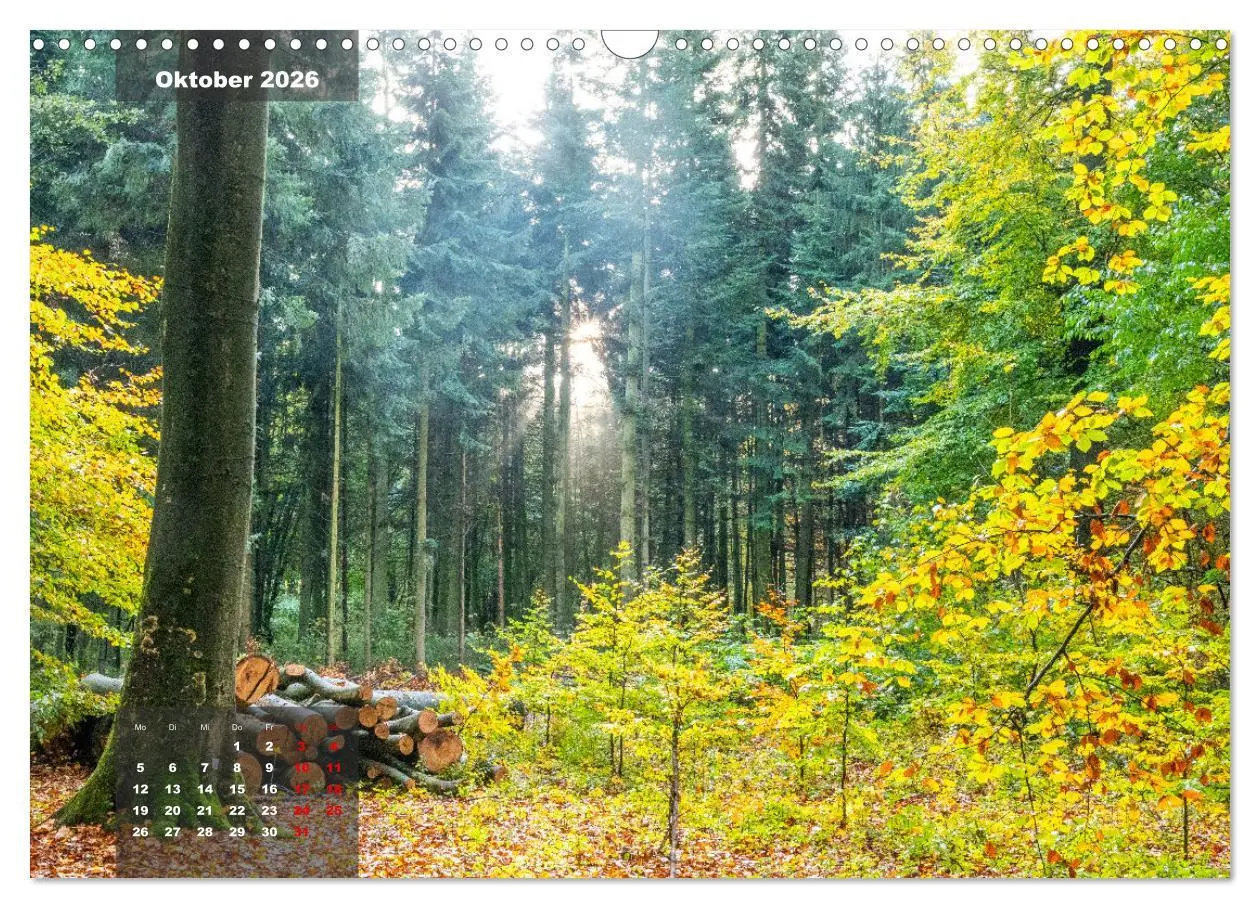 Bild: 9783457496299 | Ein Jahr Niederrhein Momente der Natur (Wandkalender 2026 DIN A3...