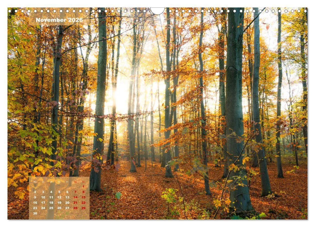 Bild: 9783457496299 | Ein Jahr Niederrhein Momente der Natur (Wandkalender 2026 DIN A3...