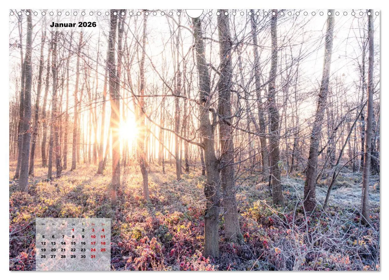 Bild: 9783457496299 | Ein Jahr Niederrhein Momente der Natur (Wandkalender 2026 DIN A3...