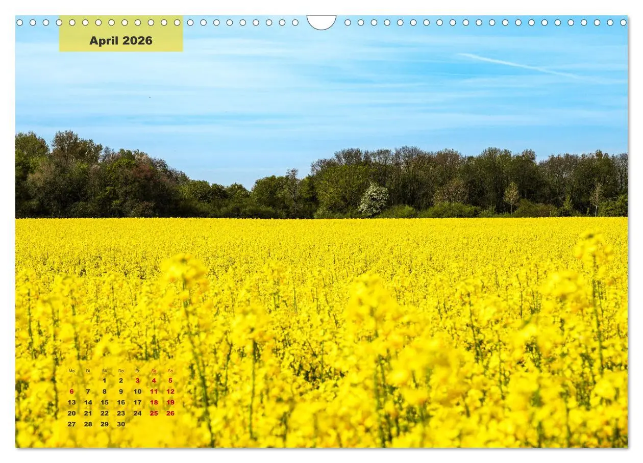 Bild: 9783457496299 | Ein Jahr Niederrhein Momente der Natur (Wandkalender 2026 DIN A3...