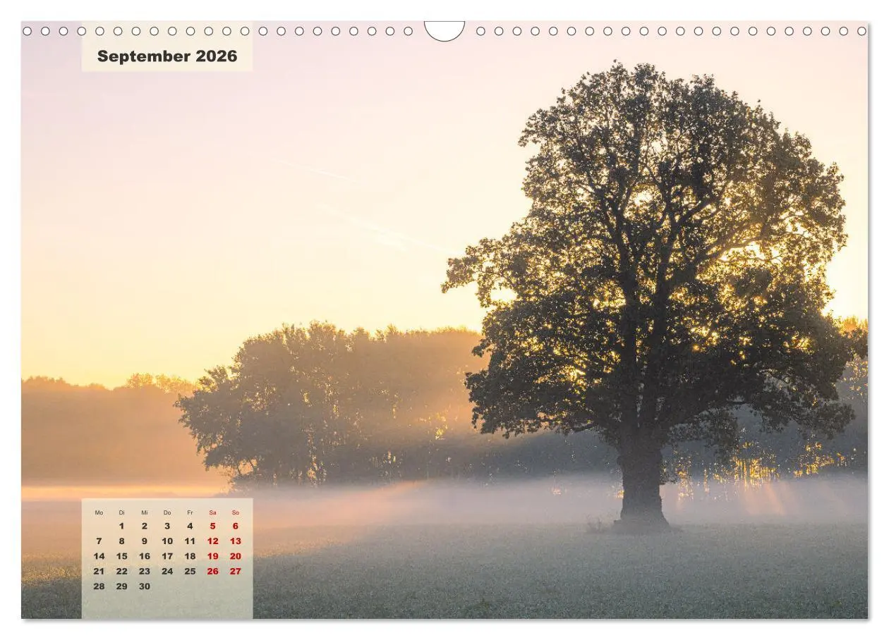 Bild: 9783457496299 | Ein Jahr Niederrhein Momente der Natur (Wandkalender 2026 DIN A3...