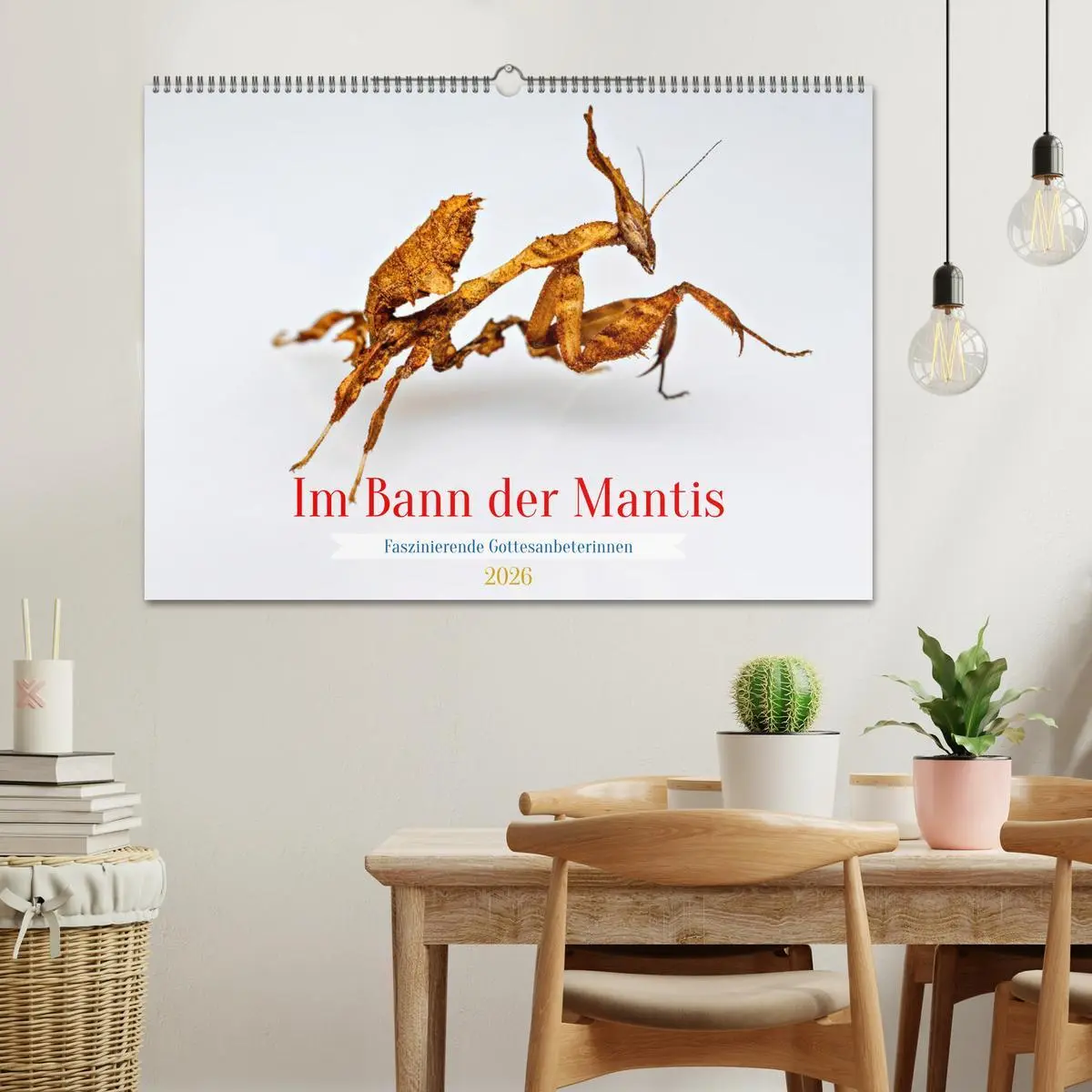 Bild: 9783457246399 | Im Bann der Mantis (Wandkalender 2026 DIN A2 quer), CALVENDO...