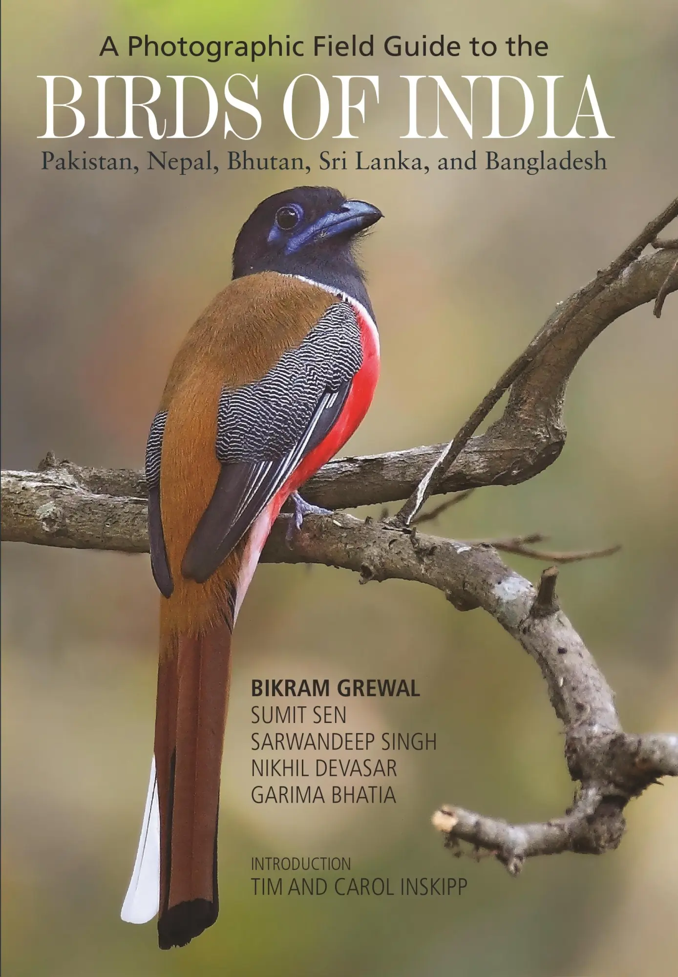 Cover: 9780691176499 | A Photographic Field Guide to the Birds of India, Pakistan, Nepal,...