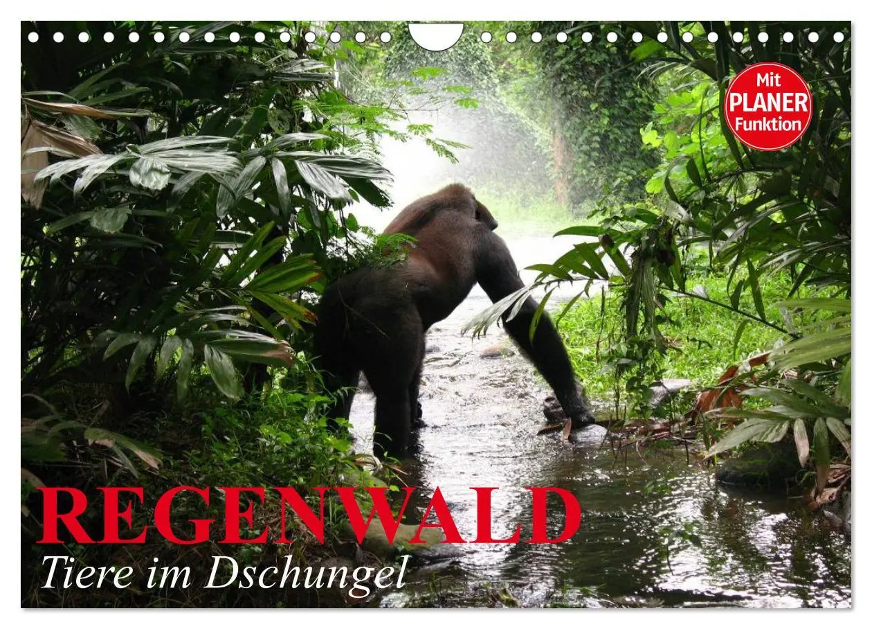 Cover: 9783435526499 | Regenwald. Tiere im Dschungel (Wandkalender 2025 DIN A4 quer),...