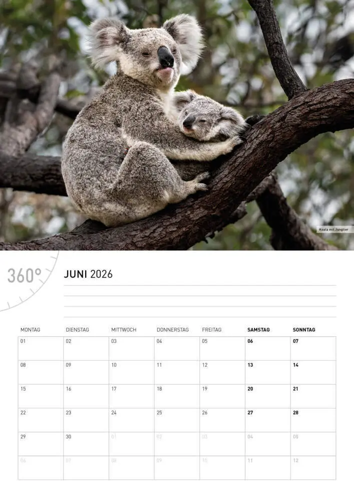 Bild: 9783968556499 | Australien Broschürenkalender 2026 | Ingo Öland | Kalender | 28 S.