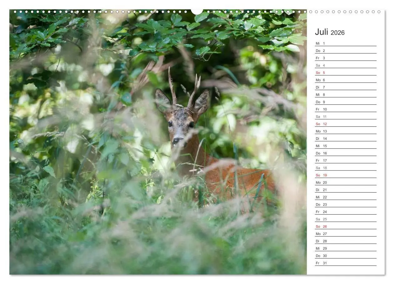 Bild: 9783516006599 | Emotionale Momente: Wild und Jagd. (Wandkalender 2026 DIN A2 quer),...