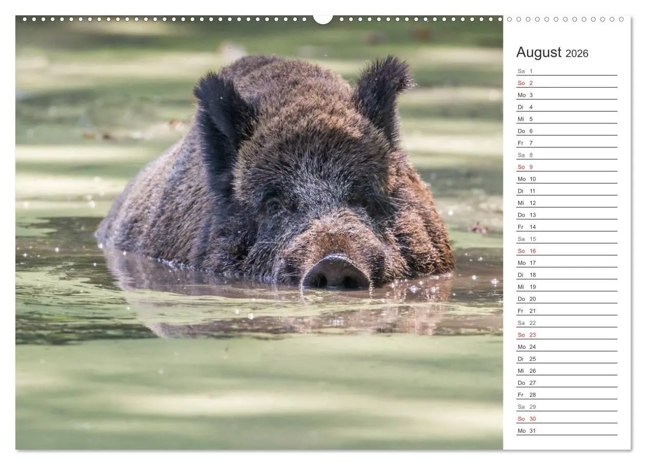 Bild: 9783516006599 | Emotionale Momente: Wild und Jagd. (Wandkalender 2026 DIN A2 quer),...