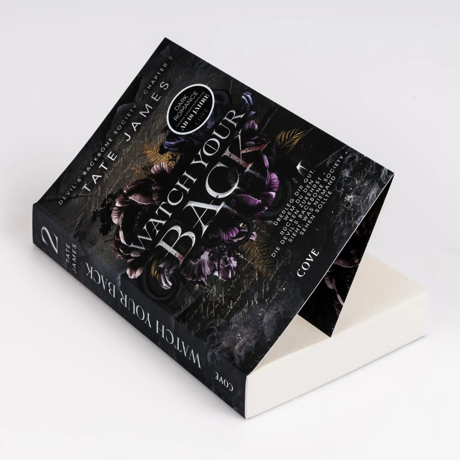 Bild: 9783551586599 | Watch Your Back (Devil's Backbone Society 2) | Tate James | Buch