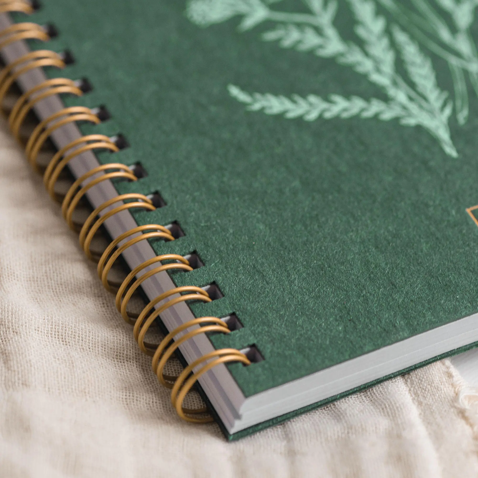 Bild: 4061947156799 | Schülerkalender 2026/2027 "Botanical" A5, Karton | Buch | 208 S.