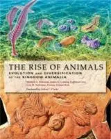 Cover: 9780801886799 | The Rise of Animals | Mikhail A. (Head Fedonkin (u. a.) | Buch | 2008