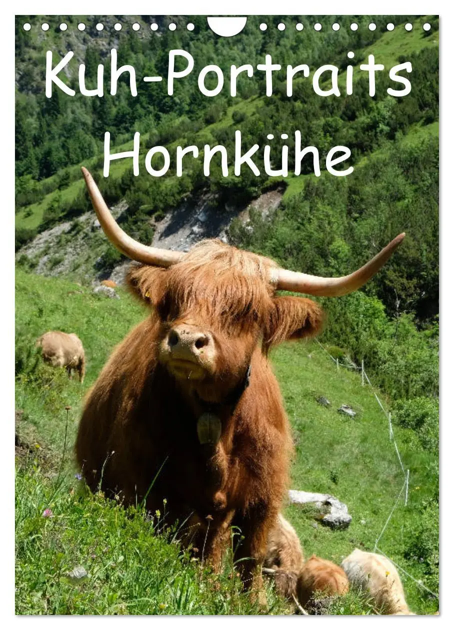 Cover: 9783516396799 | Kuhportraits Hornkühe (Wandkalender 2026 DIN A4 hoch), CALVENDO...