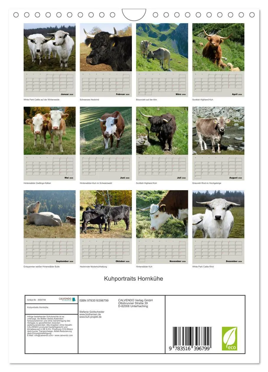 Bild: 9783516396799 | Kuhportraits Hornkühe (Wandkalender 2026 DIN A4 hoch), CALVENDO...