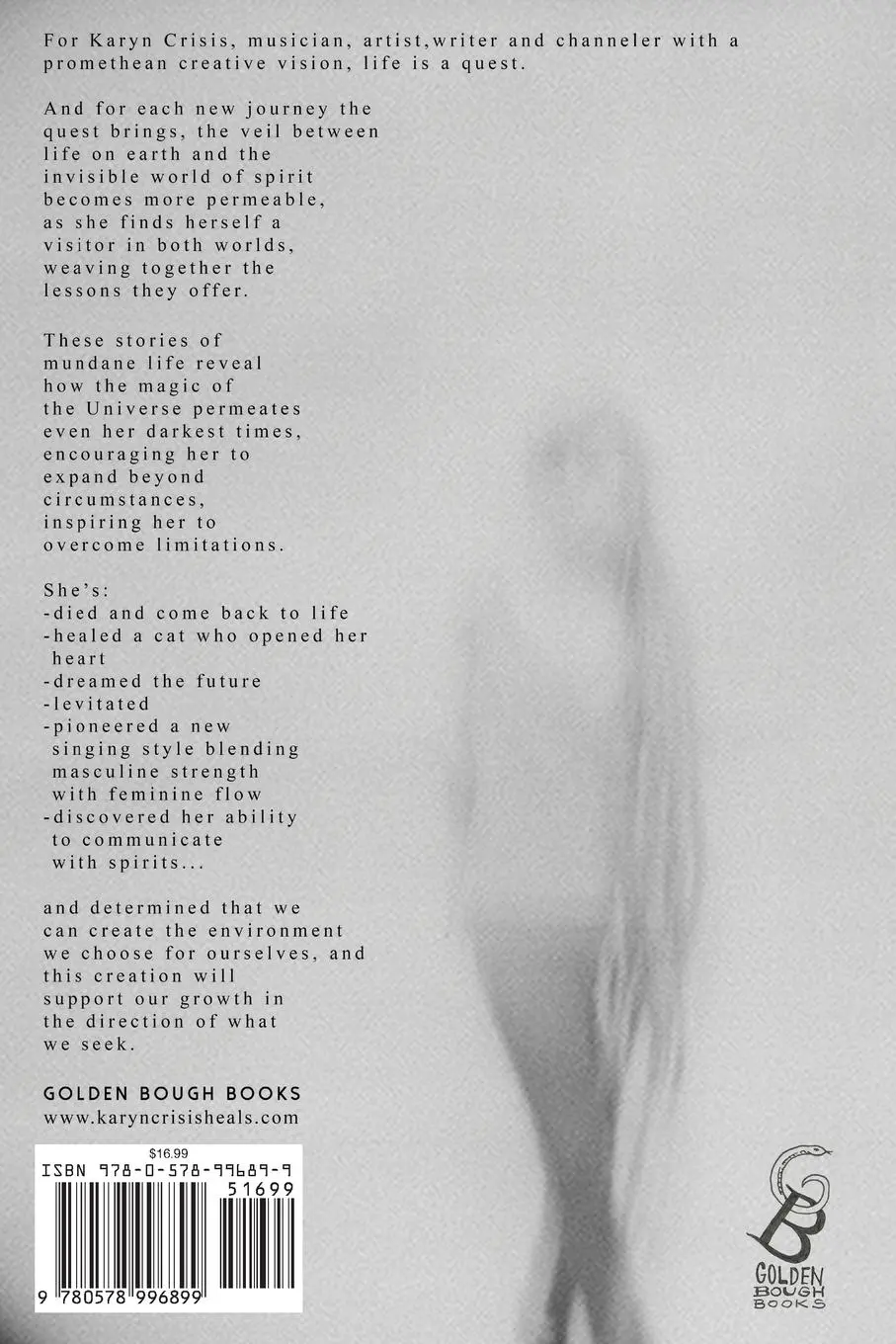 Rückseite: 9780578996899 | Warrior of Light | Stories of Life + Death | Karyn Crisis | Buch