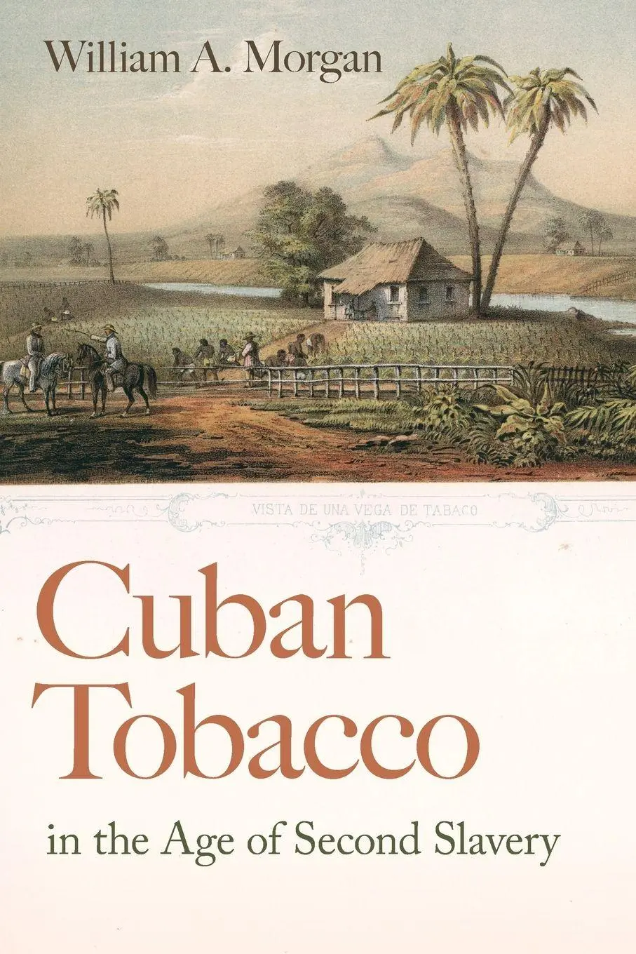 Cover: 9780820376899 | Cuban Tobacco in the Age of Second Slavery | William A Morgan | Buch