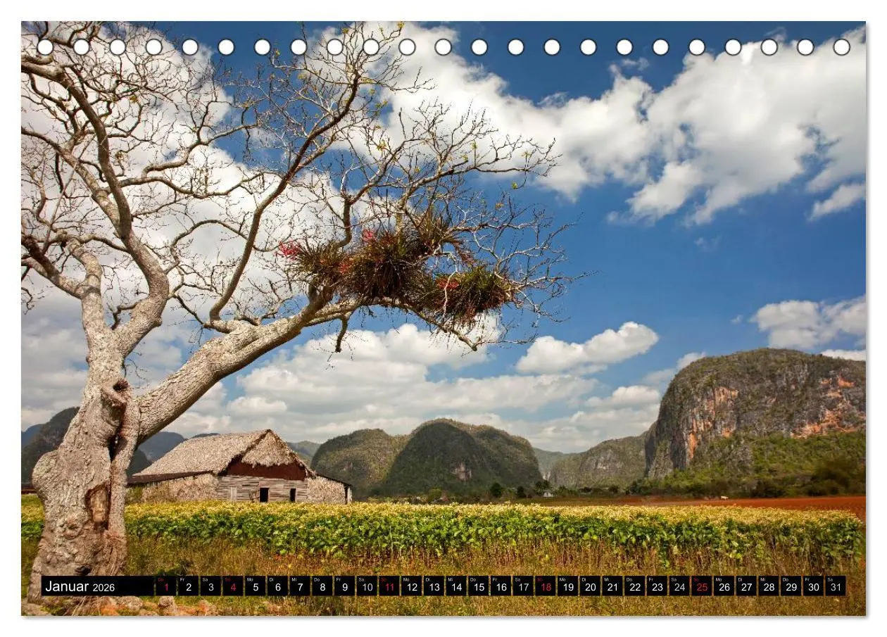 Bild: 9783516146899 | Cuba (Tischkalender 2026 DIN A5 quer), CALVENDO Monatskalender | 2026