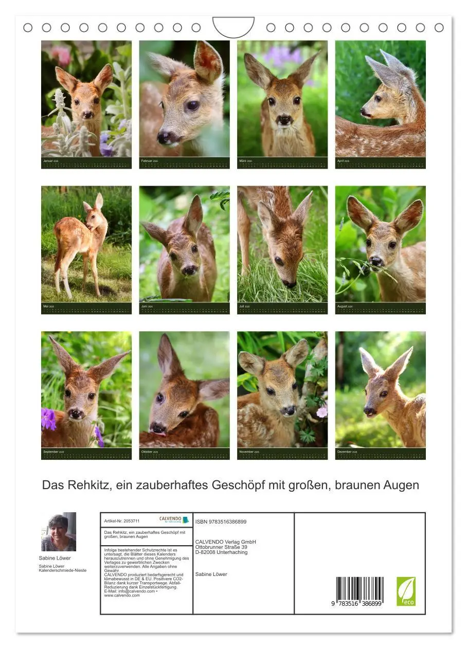 Bild: 9783516386899 | Das Rehkitz, ein zauberhaftes Geschöpf mit großen, braunen Augen...