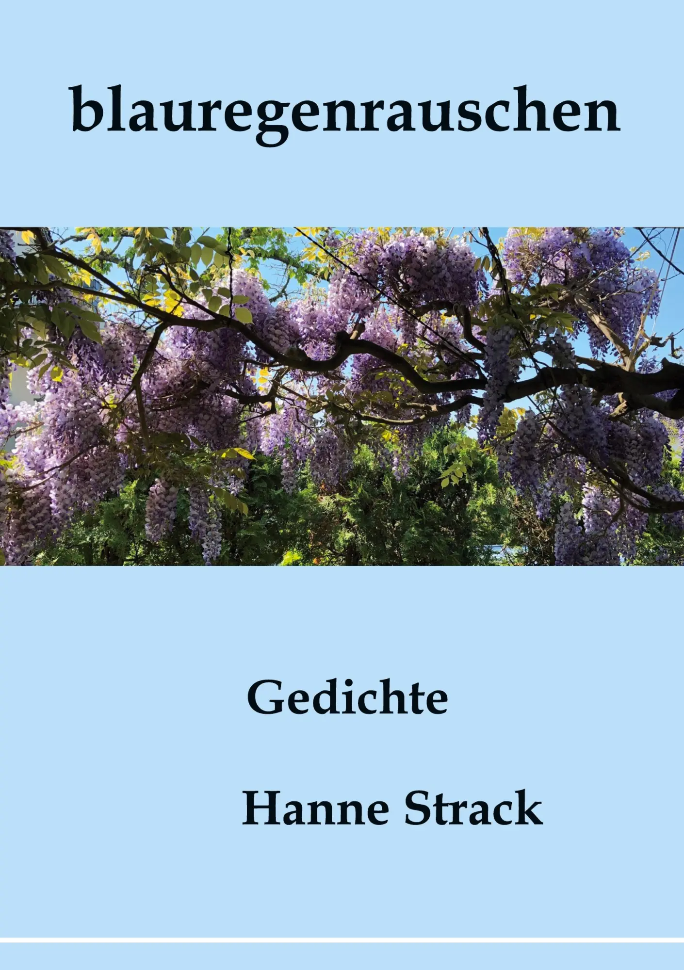 Cover: 9783757886899 | blauregenrauschen | Gedichte | Hanne Strack | Taschenbuch | 128 S.