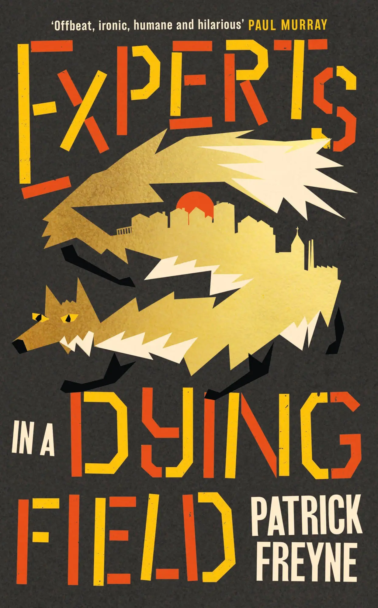 Cover: 9781844886999 | Experts in a Dying Field | Patrick Freyne | Taschenbuch | Englisch