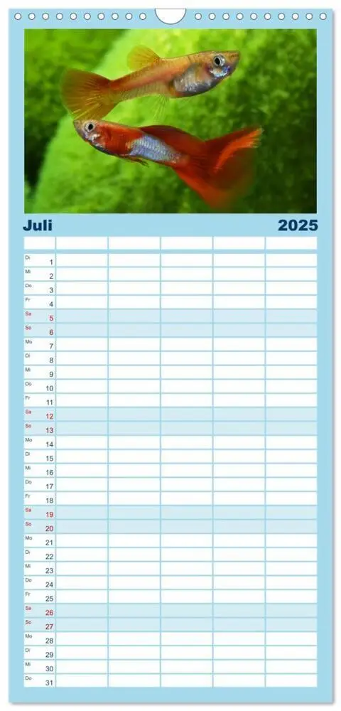 Bild: 9783457116999 | Familienplaner 2025 - Beliebte Fische der Welt mit 5 Spalten...