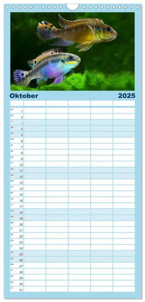 Bild: 9783457116999 | Familienplaner 2025 - Beliebte Fische der Welt mit 5 Spalten...