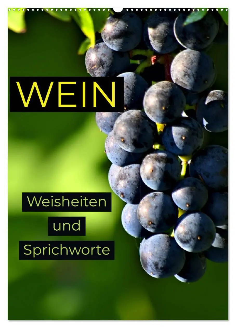 Cover: 9783516376999 | WEIN Weisheiten und Sprichworte (Wandkalender 2026 DIN A2 hoch),...