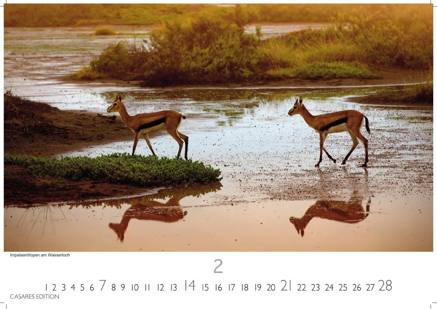 Bild: 9781835247099 | Namibia Kalender 2027 - Wandkalender Fotokalender Afrika 35x50 cm -...
