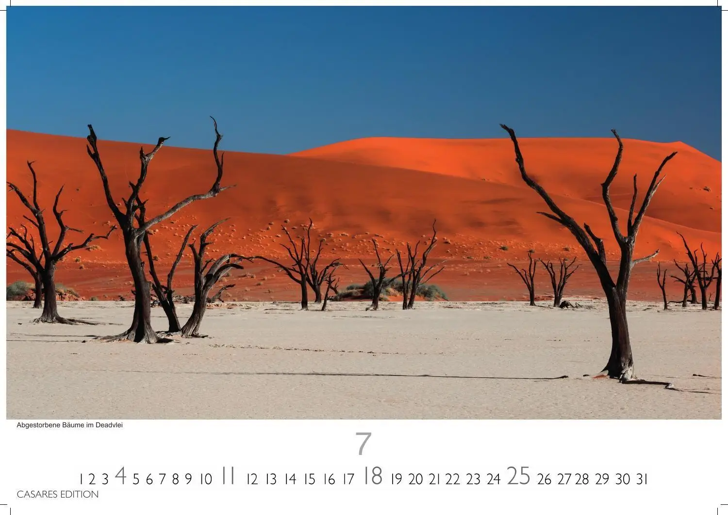 Bild: 9781835247099 | Namibia Kalender 2027 - Wandkalender Fotokalender Afrika 35x50 cm -...