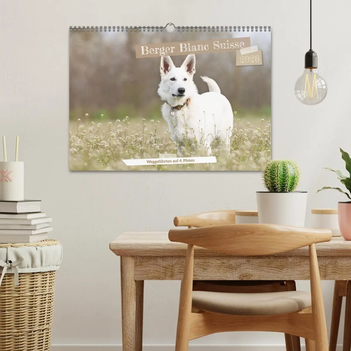 Bild: 9783457247099 | Berger Blanc Suisse - Weggefährten auf 4 Pfoten (Wandkalender 2026...