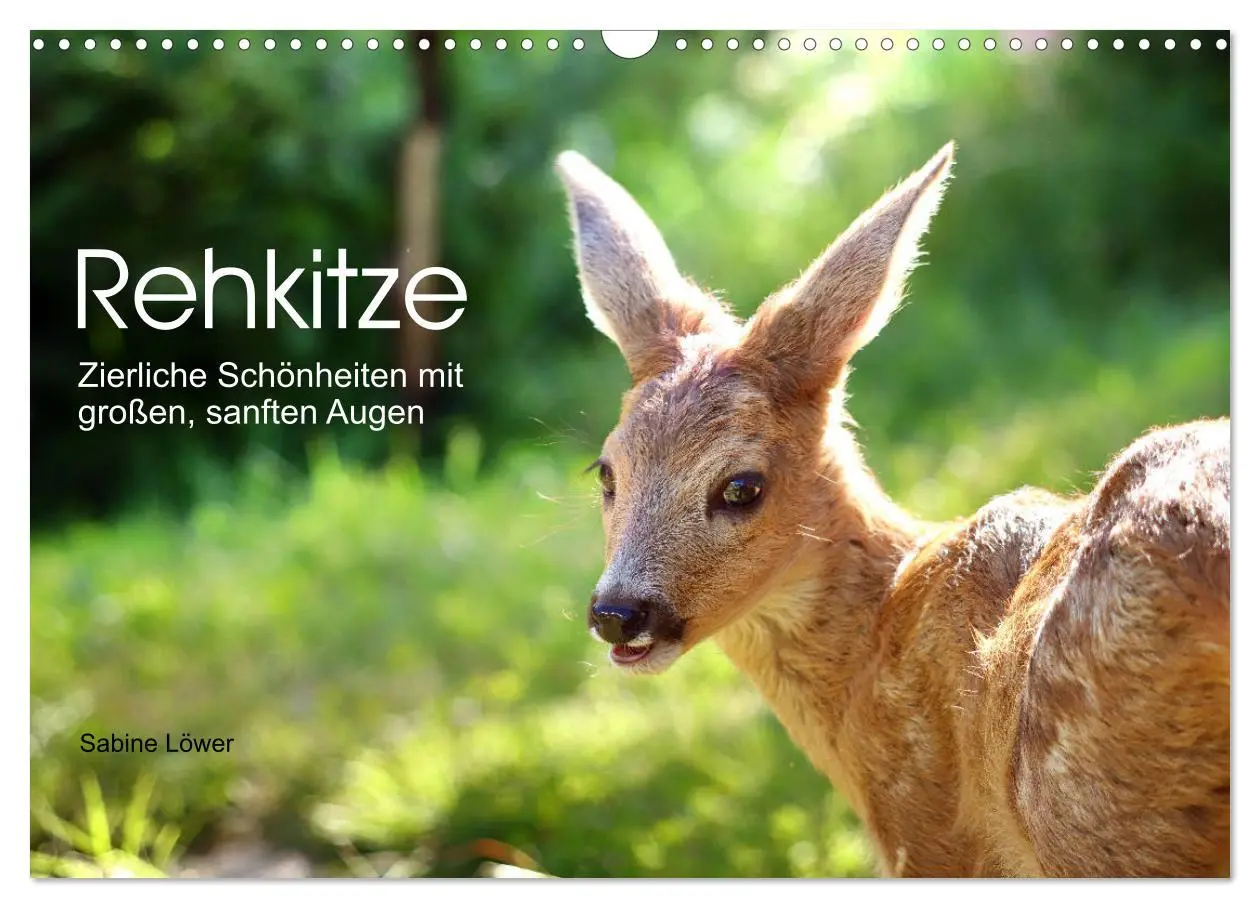 Cover: 9783457797099 | Rehkitze, zierliche Schönheiten mit großen, sanften Augen...