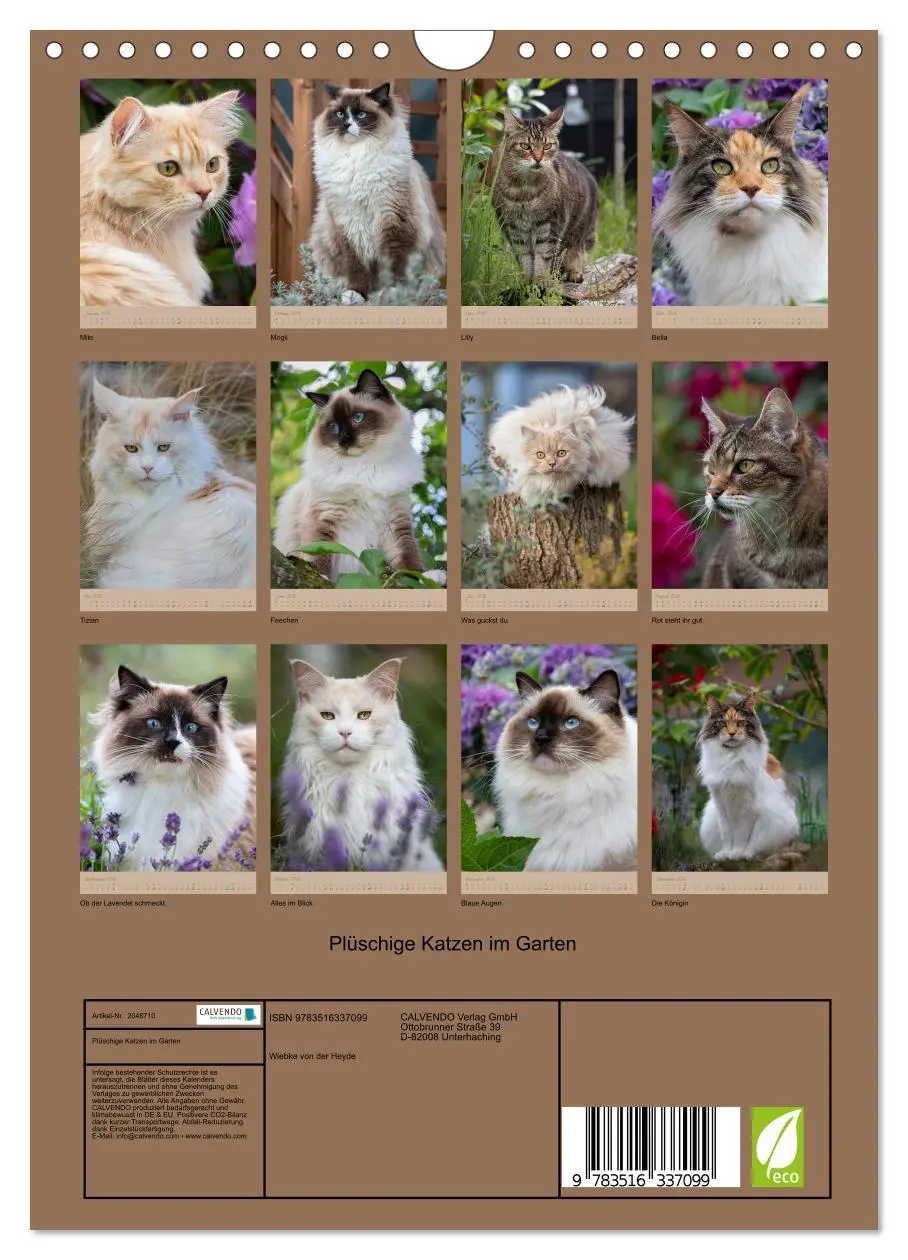 Bild: 9783516337099 | Plüschige Katzen im Garten (Wandkalender 2026 DIN A4 hoch),...